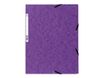 Exacompta Nature Future - Chemise à 3 rabats - A4 - pour 250 feuilles - violet