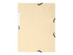 Exacompta Nature Future - Chemise à 3 rabats - A4 - pour 250 feuilles - ivoire