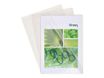 Exacompta - 10 Pochettes coin lisses - A4 - 13/100 - cristal translucide