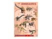 Bouchut - Poster Les Dinosaures - 52 x 76 cm