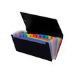 3135251108872-Viquel Rainbow Class - Trieur 12 positions - format chèque-P_110887_1-0