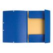 3130632553029-Exacompta Nature Future - 10 Chemises à 3 rabats - A4 - pour 250 feuilles - bleu-P_1855302_2-1