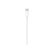 0888462698429-Apple - Cable USB-C - Câble USB - 24 pin USB-C (M) pour 24 pin USB-C (M) - 2 m-P_300054831_1-0