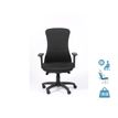 Fauteuil de bureau SOMERSET - accoudoirs réglables - noir