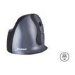 8719274673071-Bakker Elkhuizen Evoluent D - souris ergonomique sans fil pour droitier - petite taille-P_400009845_8-1