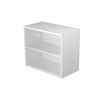 Bibliothèque basse Trend - L80xP44xH72 cm - 2 portes en verre dépoli - imitation chêne canadien
