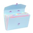 3135251171159-Viquel Rainbow Pastel - trieur à soufflet - pour A4 - disponible en différents coloris-P_405118851_5-3