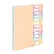 3135259881159-Viquel Rainbow Pastel - trieur à soufflet - pour A4 - à onglets - disponible en différe-P_405118854_3-2