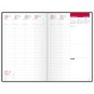 3147280267833-Agenda à élastique Flowers - 1 semaine sur 2 pages - 16 x 24 cm - rose - Oxford--1