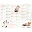 3664447165172-Calendrier Chaton - 6 mois par face - 40,5 x 55 cm - Oberthur-P_405161979_2-1