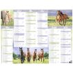 3664447165189-Calendrier Cheval - 6 mois par face - 21 x 26,5 cm - Oberthur-P_405161980_2-1