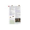 9782036068537-Le dictionnaire Larousse Super Major - CM/6e - livre-P_405184154_2-1