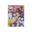9781439797129-Journal -  17,5 x 23 cm  -  144 pages  - multicolore - Paperblanks-P_405227633_1-0