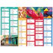 3664447193595-Calendrier Color Story - 6 mois par face - 210 x 265 mm - Oberthur--0