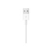 0190199291102-Apple Magnetic - Câble de chargement pour Apple Watch - USB mâle - 1 m - blanc-P_405232652_3-2