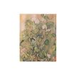 9781439797877-Paperblanks The Barnes Collection - Journal - reliure piquée - ultra - 175 x 230 mm - 144 pages - papier ivoire - uni - cezanne's terracotta pots -P_405236508_4-3