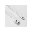 3304490412396-WE - Câble Lightning - USB mâle pour Lightning mâle - 1 m - blanc-P_405240460_5-1