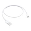 885909707973-Apple - Câble Lightning - Lightning mâle pour USB mâle - 50 cm-P_405251371_1-4
