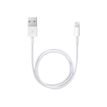 885909707973-Apple - Câble Lightning - Lightning mâle pour USB mâle - 50 cm-P_405251371_2-3