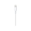 885909707973-Apple - Câble Lightning - Lightning mâle pour USB mâle - 50 cm-P_405251371_3-0
