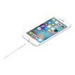 885909707973-Apple - Câble Lightning - Lightning mâle pour USB mâle - 50 cm-P_405251371_4-2