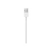 885909707973-Apple - Câble Lightning - Lightning mâle pour USB mâle - 50 cm-P_405251371_5-1