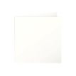 3329680213706-Pollen - 25 Cartes pliées - 160 x 160 mm - 210 g/m² - ivoire-P_79130376_1-0