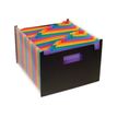 3135251109879-Viquel Rainbow Class Seatcase - Trieur extensible 25 positions-P_79144252_1-0