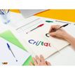 0400793955554-BIC Cristal - 50 Stylos à bille - vert - 1 mm - pointe moyenne-P_79395555_6-5