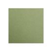 2012349349885-Clairefontaine Maya - Papier à dessin - A4 - 270 g/m² - kaki-P_79413761_1-0