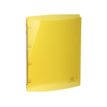 3130630516705-Exacompta Iderama - Classeur souple à anneaux - Dos 20 mm - A4 - pour 140 feuilles - disponib-P_79417549_2-1