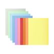 3130633301001-Exacompta Super 210 - 10 Chemises - 210 gr - couleurs assorties-P_79417635_2-0