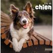 Calendrier illustré BOUCHUT 30 x 30 cm VIE DE CHIEN Pefc 70 %