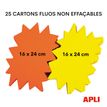 3270241004007-Apli Agipa - 25 éclatés fluo - jaune/orange - 16 x 24 cm--1