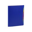 3135254907311-Viquel Happy Fluo - Trieur porte vues 20 onglets-P_79445253_1-0