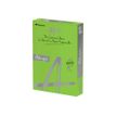 Rey Adagio - Papier couleur - A4 (210 x 297 mm) - 160 g/m² - Ramette de 250 feuilles - vert intense