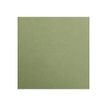 3329680972702-Clairefontaine Maya - Papier à dessin - 50 x 70 cm - 270 g/m² - kaki-P_972701_1-0