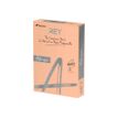 Rey Adagio - Papier couleur - A4 (210 x 297 mm) - 160 g/m² - Ramette de 250 feuilles - saumon
