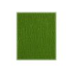 3329680951554-Clairefontaine - papier - Rouleau (50 cm x 2,5 m) - vert mousse - papier crépon-Gros plan-3
