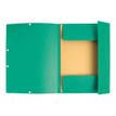 3130632553036-Exacompta Nature Future - 10 Chemises à 3 rabats - A4 - pour 250 feuilles - vert-Avant-1
