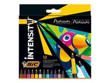BIC Intensity Premium - 12 Feutres - couleurs assorties