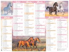 Calendrier Cheval - 6 mois par face - 21 x 26,5 cm - Oberthur