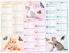 Oberthur - Calendrier Chatons - 6 mois par page - 270 x 210 mm - daté