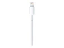 Apple - Câble Lightning - Lightning mâle pour USB mâle - 50 cm