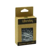 Wonday - 100 Trombones attaches-lettres - 30 mm - acier