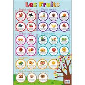 Bouchut - Poster pédagogique effaçable - 52 x 76 cm - Fruits