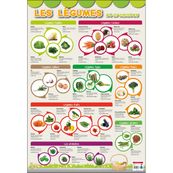 Bouchut - Poster pédagogique effaçable - 52 x 76 cm - Légumes