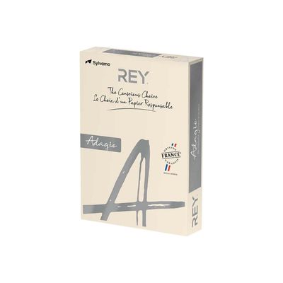 3368220137348-Rey Adagio - Papier couleur - A4 (210 x 297 mm) - 160 g/m² - Ramette de 250 feuilles - ivoi-Angle droit-0