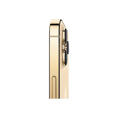 194252717509-Apple iPhone 13 Pro - Smartphone - 5G - 256Go - or-Gros plan-2