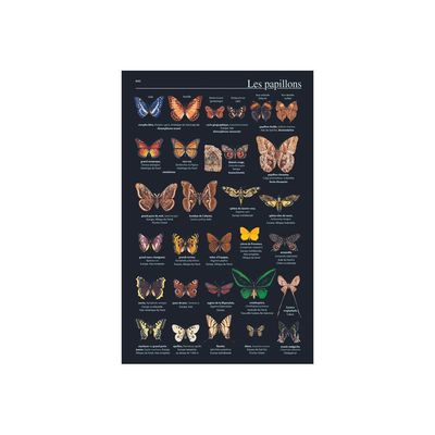 9782036022256-Petit Larousse illustré 2025 - livre-P_405188735_9-8
